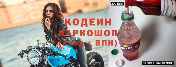 хмурый Богородицк