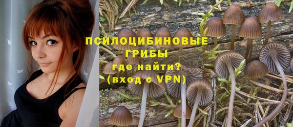 твердый Богородск