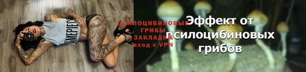 каннабис Богданович