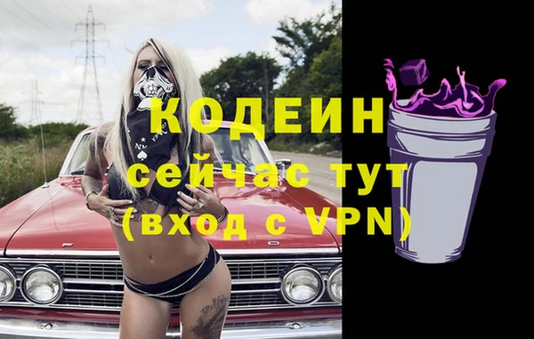 хмурый Богородицк