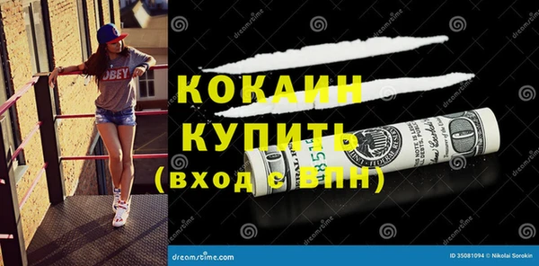 твердый Богородск