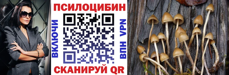 Купить где Белоярский Галлюциногенные грибы GOLDEN TEACHER